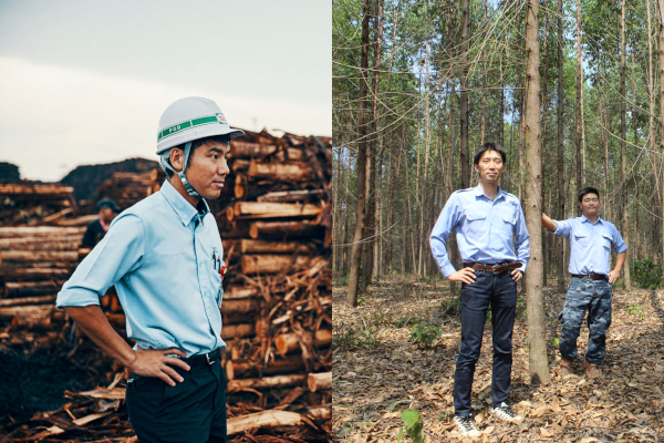 丸紅のインドネシア植林事業の様子